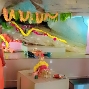 ವಿಶೇಷ ಪೂಜೆ