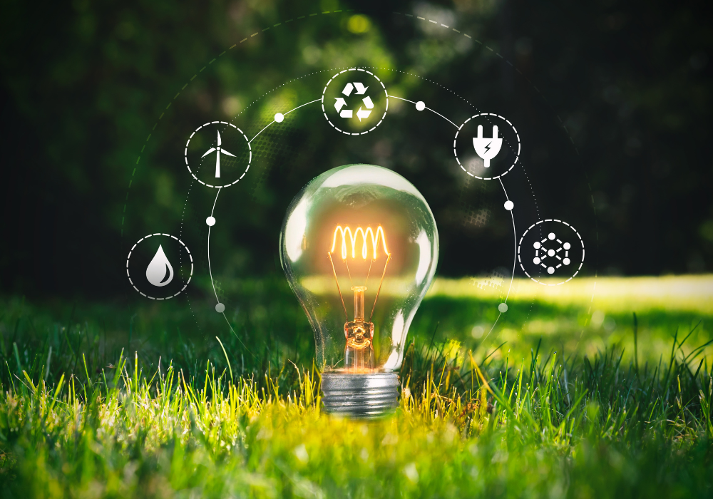 ಪರಿಸರ ಕಾರ್ಯಕ್ರಮಗಳು